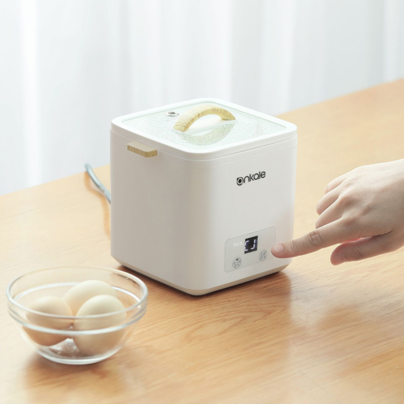 4 Eggs Boiler Steamer Multi Fu - Egg Cooker Rapid review and price