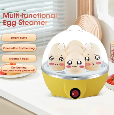 Electric Egg Cooker Single Egg - Egg Cooker Rapid review and price