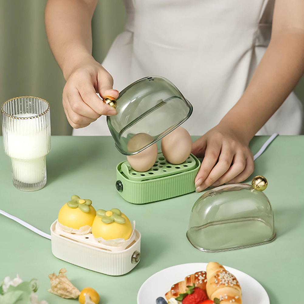 220V Rapid Egg Cooker Automati - Egg Cooker Rapid review and price