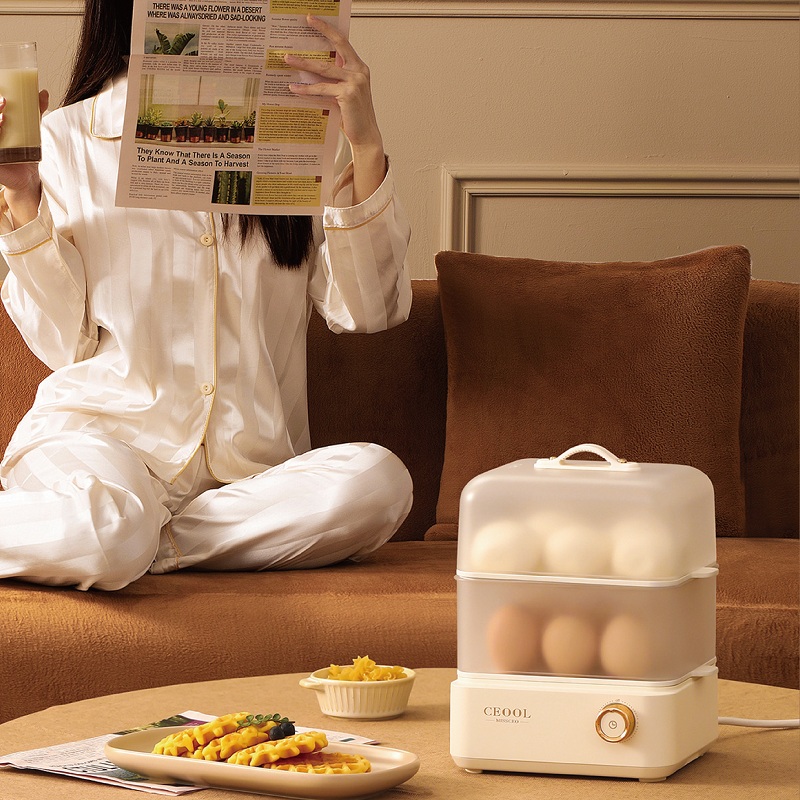 200W Egg Boiler Double Layers  - Egg Cooker Rapid review and price