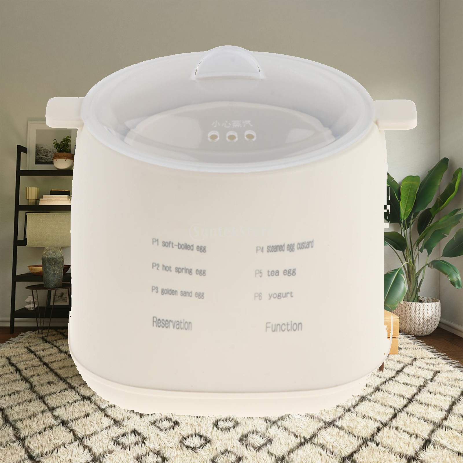 Rapid Electric Egg Cooker Easy - Egg Cooker Rapid review and price