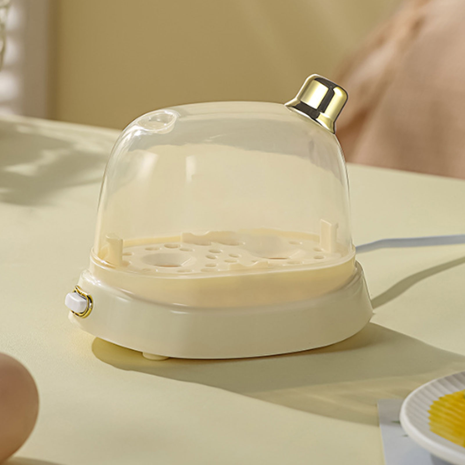 Rapid Egg Cooker 2 Egg Capacit - Egg Cooker Rapid review and price